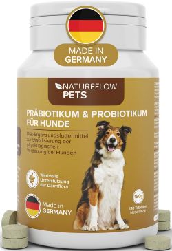 Probiotika Darmsanierung für den Hund